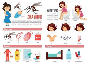 Zika virus and dengue virus infographic